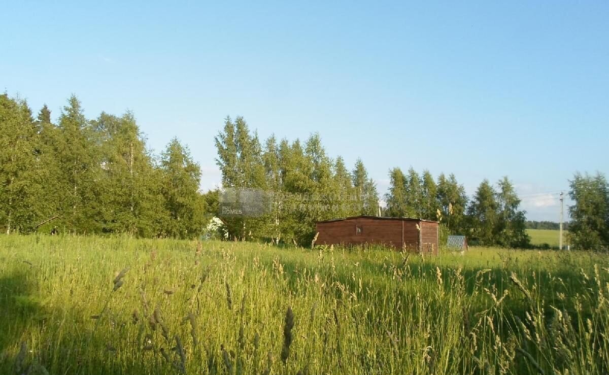 земля городской округ Истра д Лисавино 28 км, 27А, Андреевка, Пятницкое шоссе фото 27