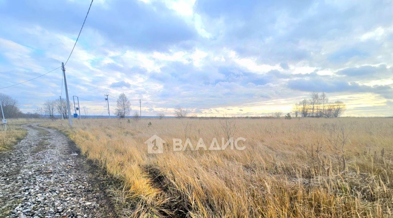 земля г Раменское снт Малышево Коломна городской округ фото 3