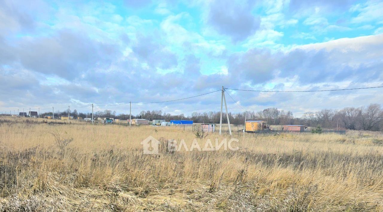 земля г Раменское снт Малышево Коломна городской округ фото 5