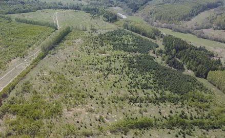 земля р-н Зеленодольский с Осиново Большеякинское сельское поселение фото 8