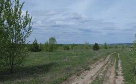 земля р-н Зеленодольский с Осиново Большеякинское сельское поселение фото 16