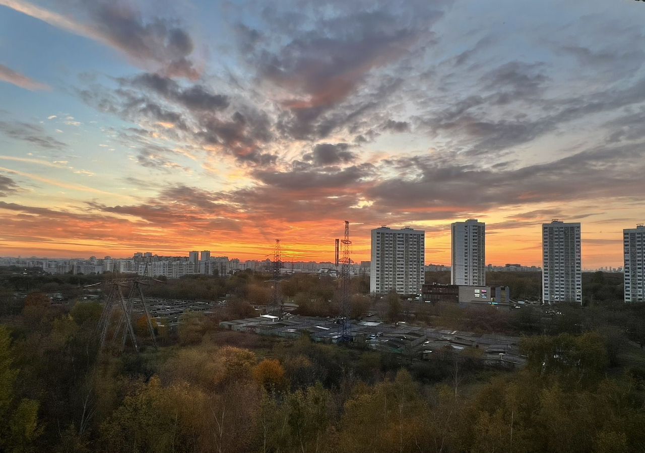 квартира г Москва метро Люблино ул Головачёва 1к/2 фото 13