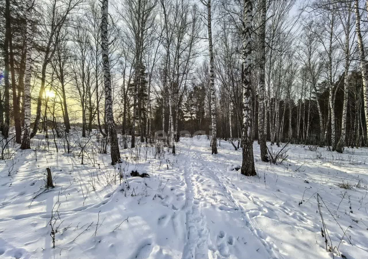 земля р-н Искитимский с Сосновка сельсовет, Совхозный, Бердск фото 11