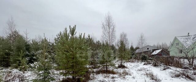 р-н Котласский д. Макарово муниципальное образование Черемушское фото