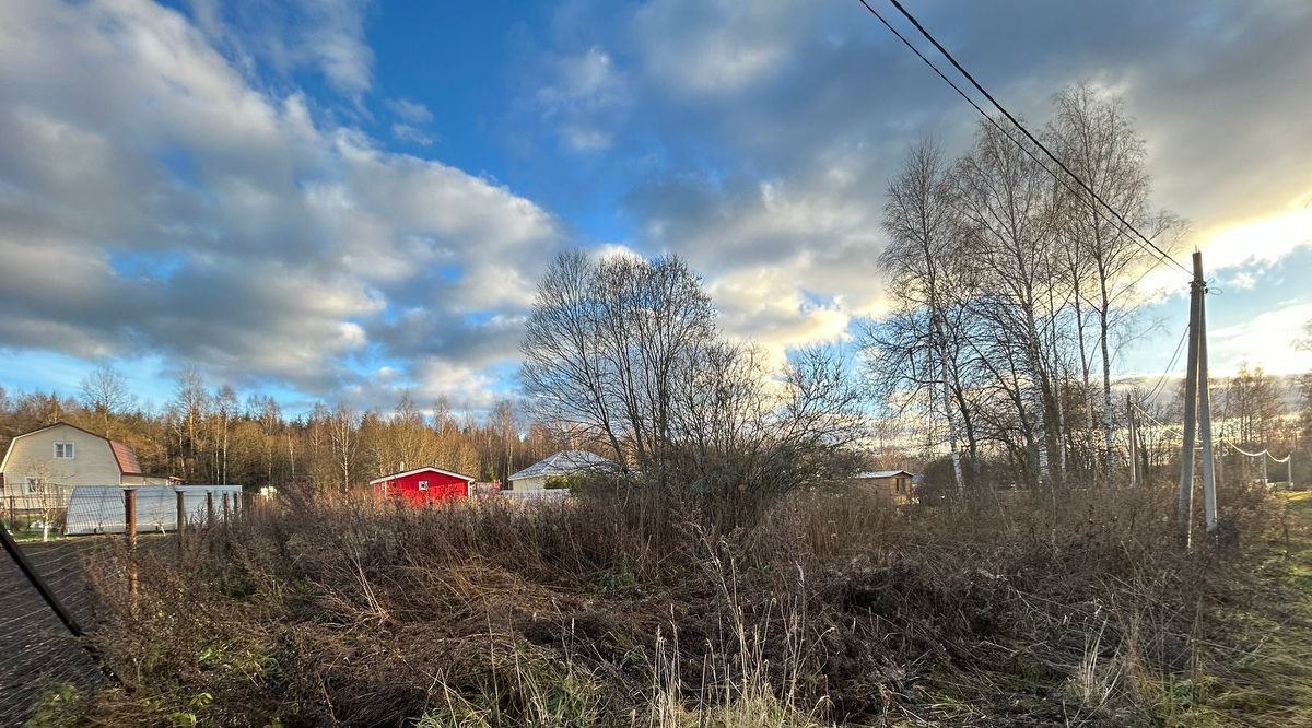 земля городской округ Наро-Фоминский д Бавыкино снт Березовка 26 фото 1