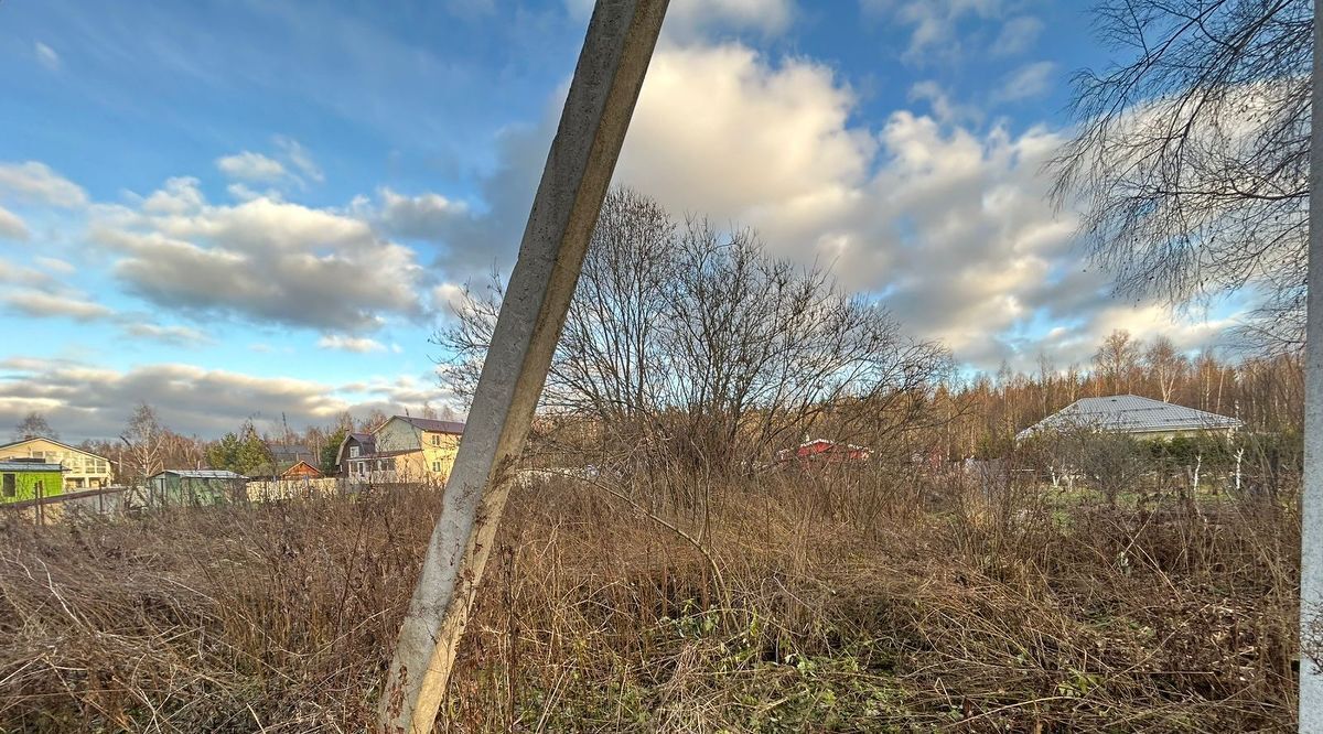 земля городской округ Наро-Фоминский д Бавыкино снт Березовка 26 фото 7