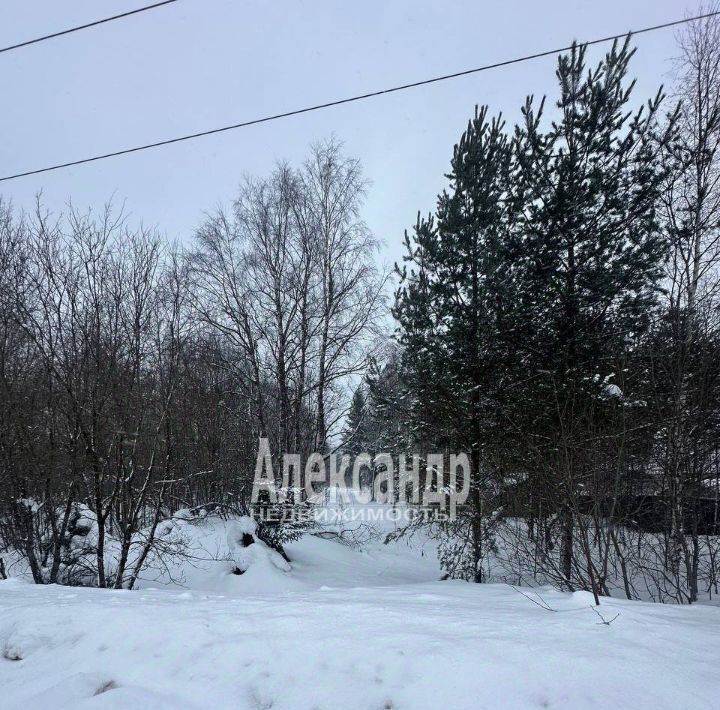 земля р-н Бокситогорский д Самойлово ул Центральная Самойловское с/пос фото 1