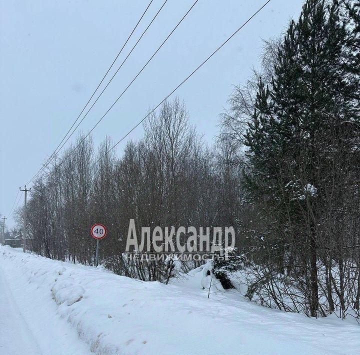 земля р-н Бокситогорский д Самойлово ул Центральная Самойловское с/пос фото 3