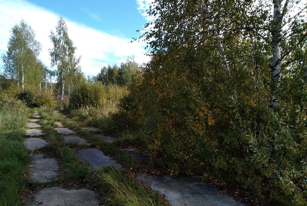 земля городской округ Раменский д Булгаково 166/1 фото 13