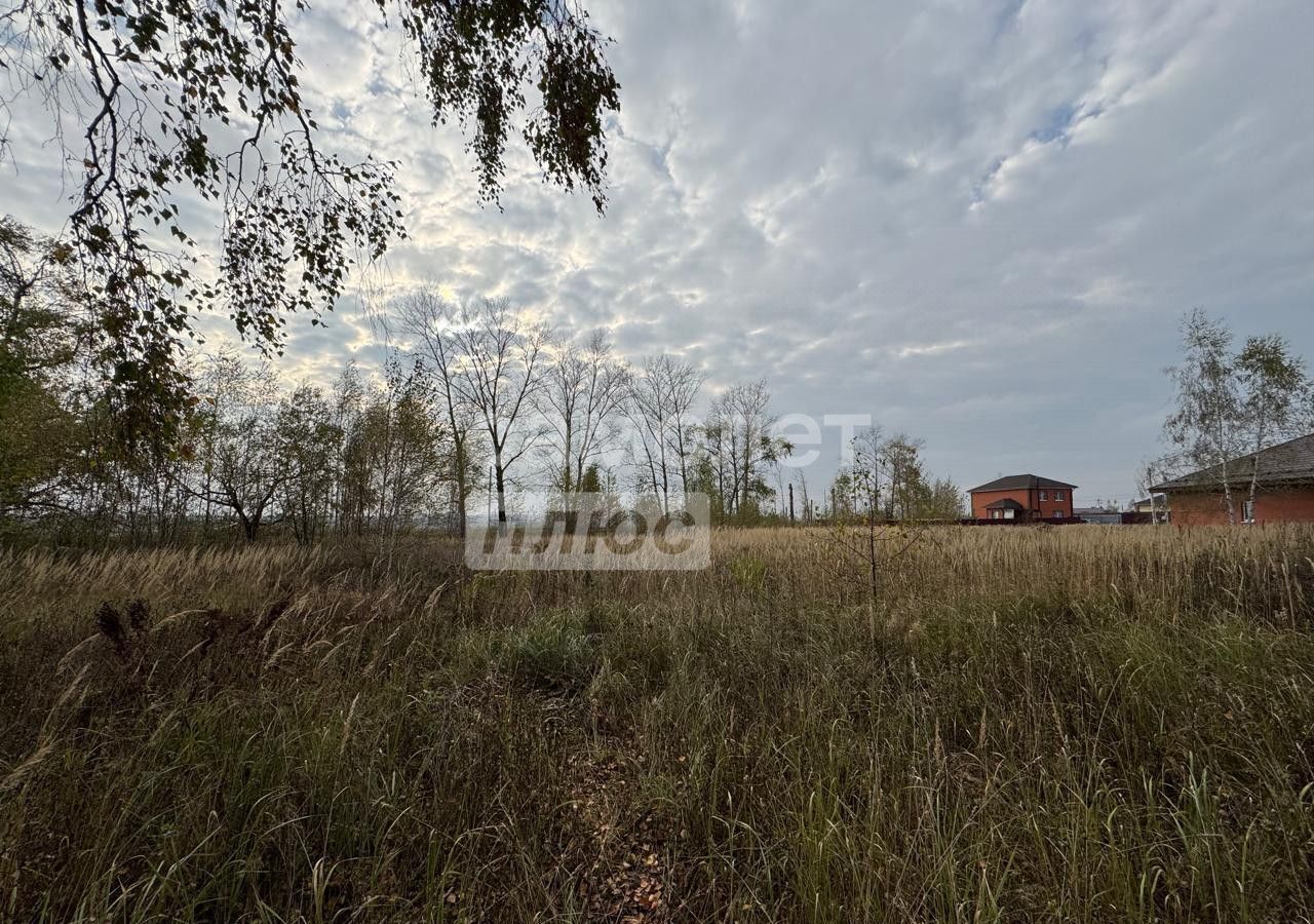 земля городской округ Коломенский с Парфентьево 88 км, Коломна, пр. Свободы, Новорязанское шоссе фото 15