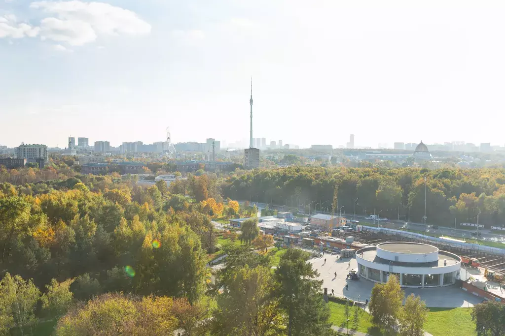 квартира г Москва ул Леонова 1-я 18 Ботанический сад, Московская область фото 24