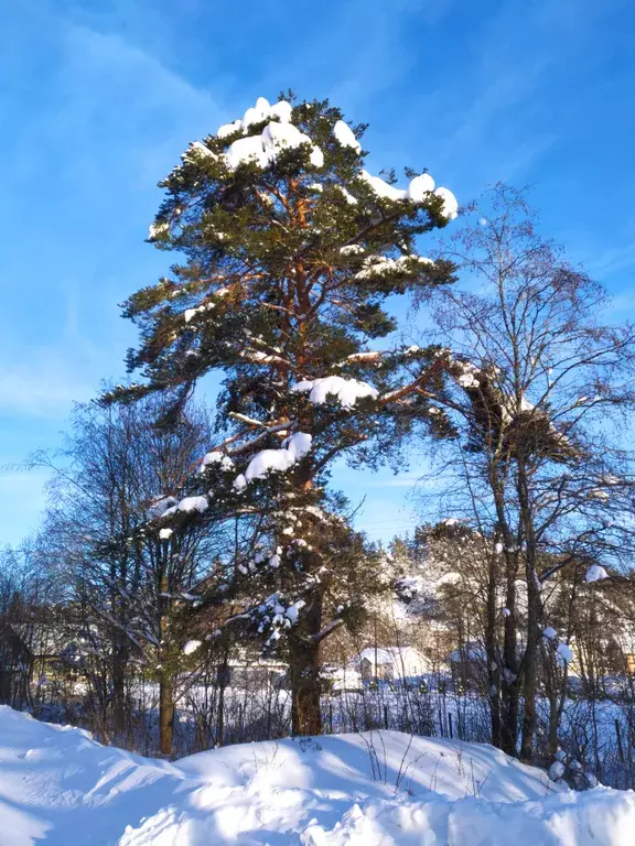 дом р-н Лахденпохский п Асилан 42Б, Куркиеки фото 27