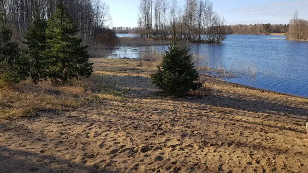 дом р-н Приозерский п Ромашки 1, Приозерск фото 14