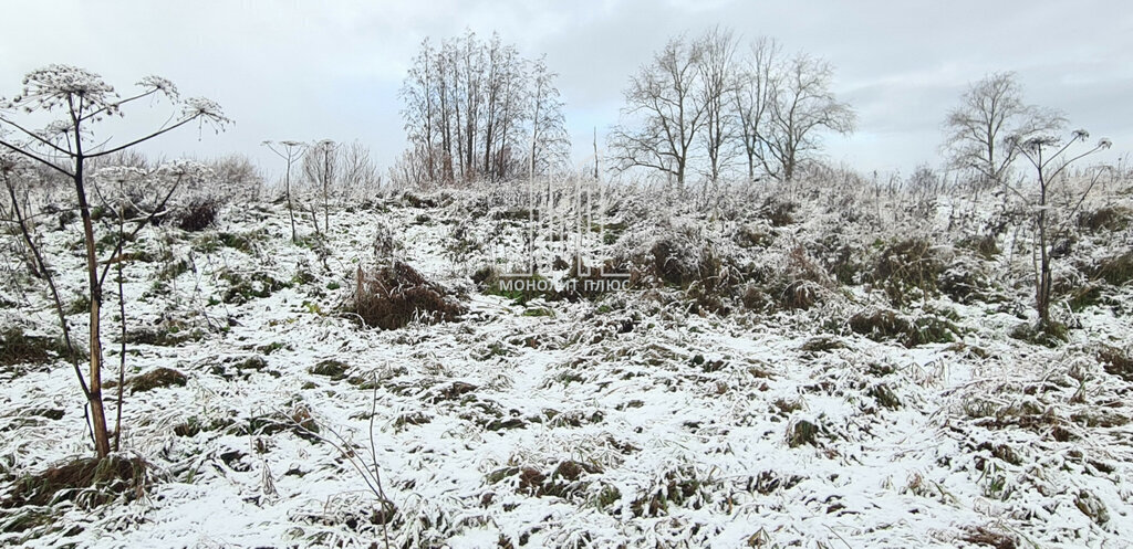 земля р-н Ломоносовский д Горбунки Автово, Стрельнинское шоссе фото 4