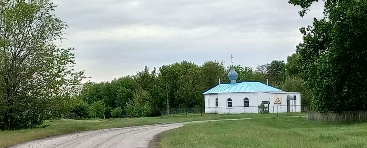 дом р-н Грибановский с Васильевка сельское поселение Васильевское фото 13