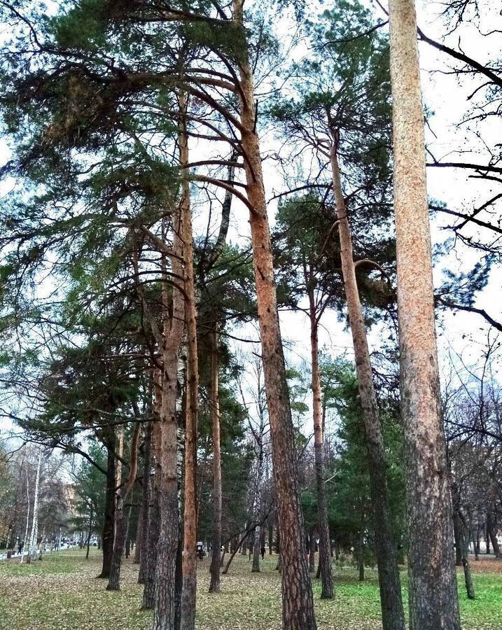 квартира г Москва метро Бабушкинская ул Минусинская 11 муниципальный округ Лосиноостровский фото 20