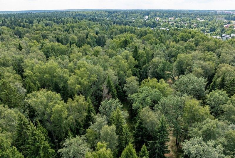 земля городской округ Одинцовский 18 км, Горки-10, Рублёво-Успенское шоссе, д. Дарьино фото 4