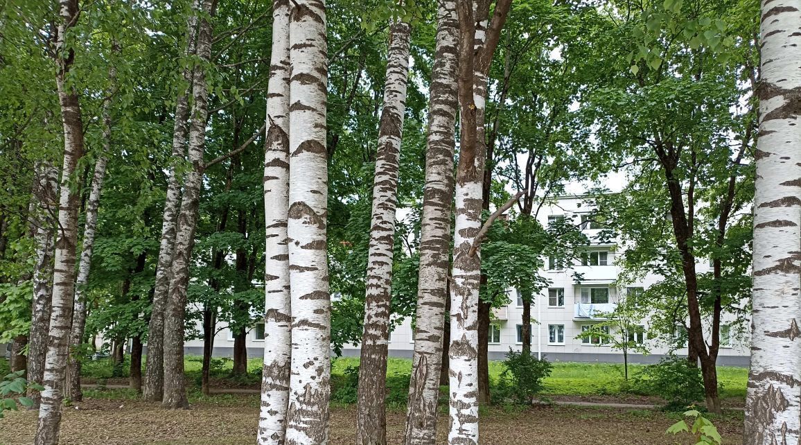 квартира р-н Всеволожский п Кузьмоловский ул Железнодорожная 14 Девяткино фото 12