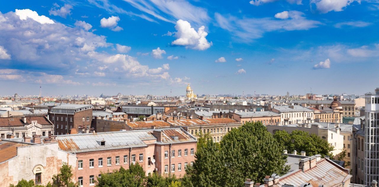 квартира г Санкт-Петербург метро Лиговский Проспект ул Социалистическая 21 Владимирский округ фото 21