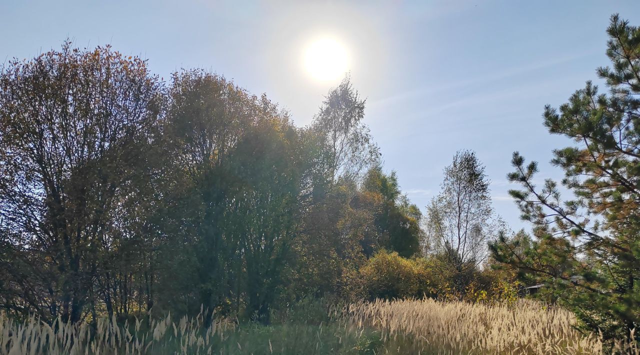 офис городской округ Чехов д Мерлеево фото 1