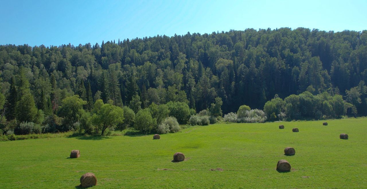 земля р-н Чойский с Кара-Торбок Горно-Алтайск фото 22