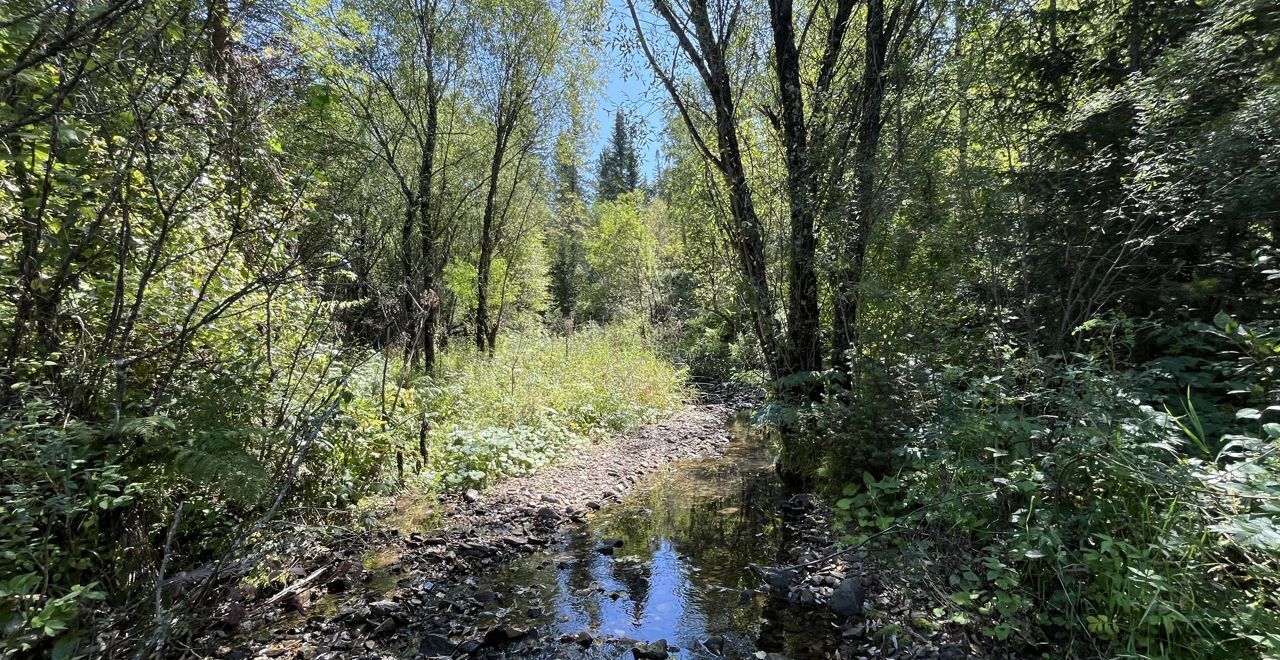 земля р-н Чойский с Кара-Торбок Горно-Алтайск фото 33