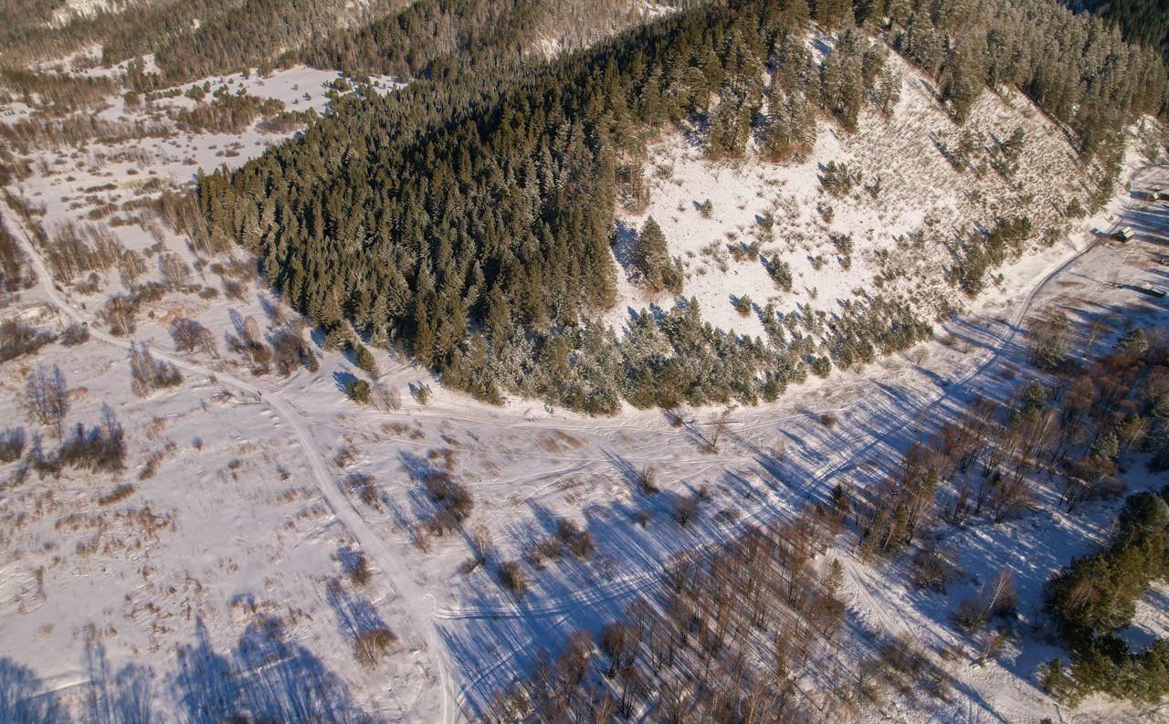 земля р-н Чойский с Кара-Торбок Горно-Алтайск фото 36