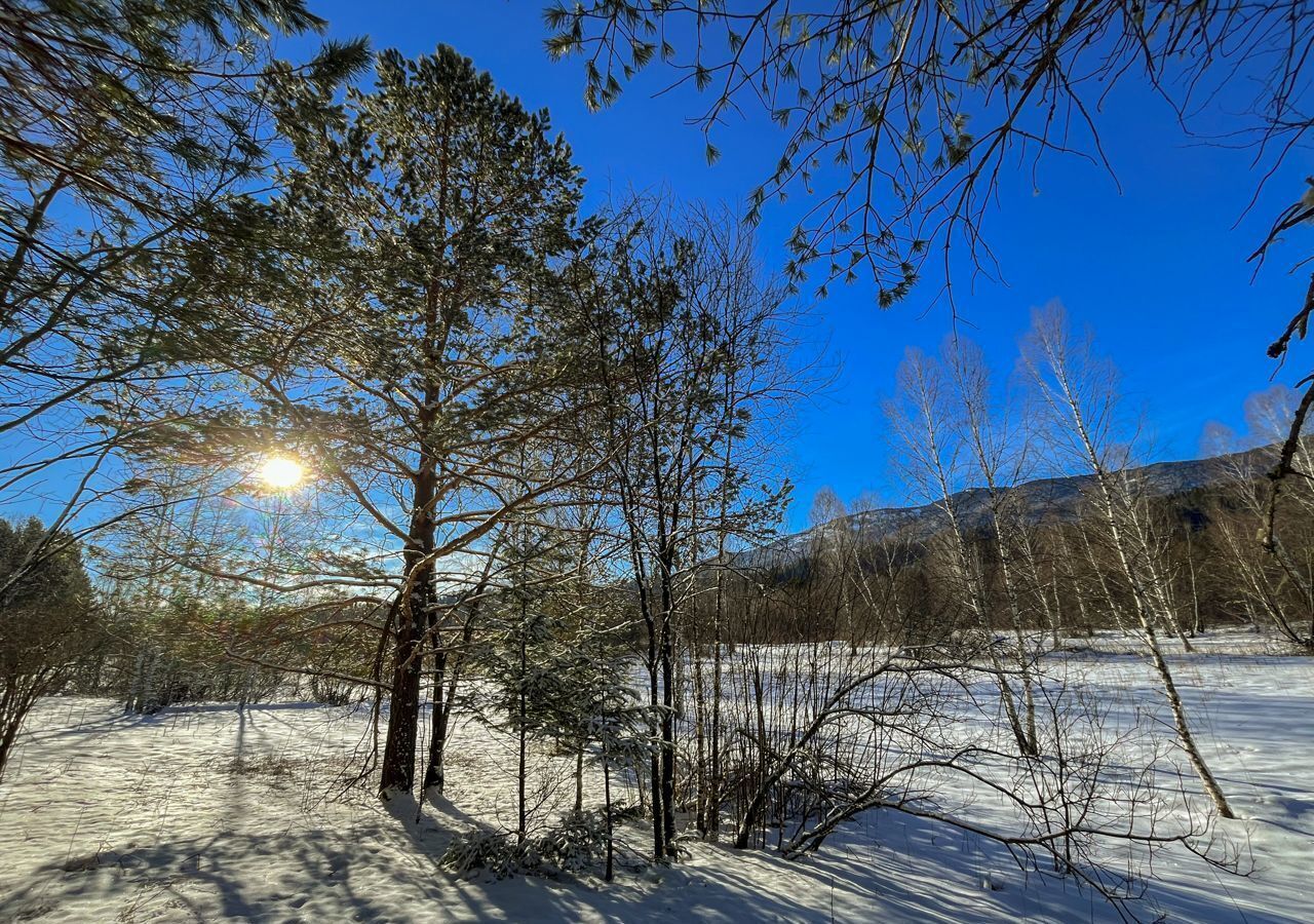 земля р-н Чойский с Кара-Торбок Горно-Алтайск фото 24