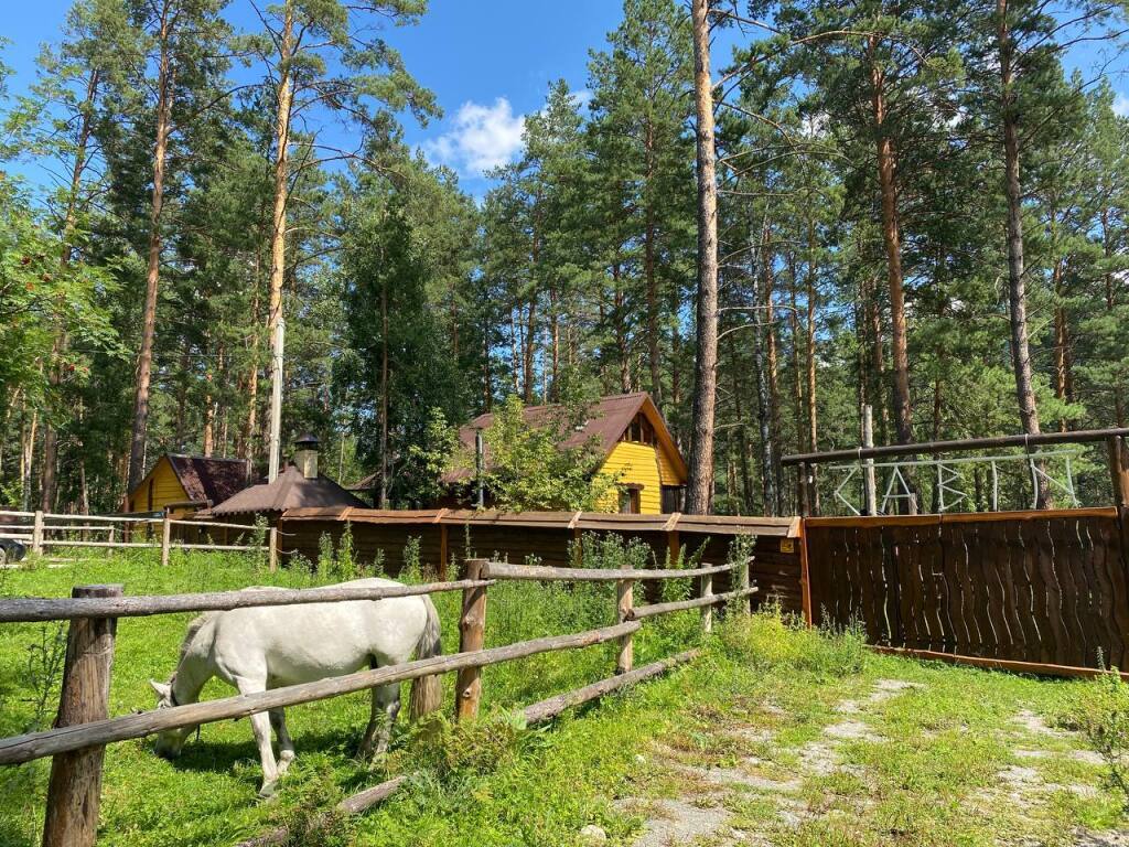 дом р-н Чемальский с Турбаза Катунь д. 12, улица Кузьмы Басаргина фото 4