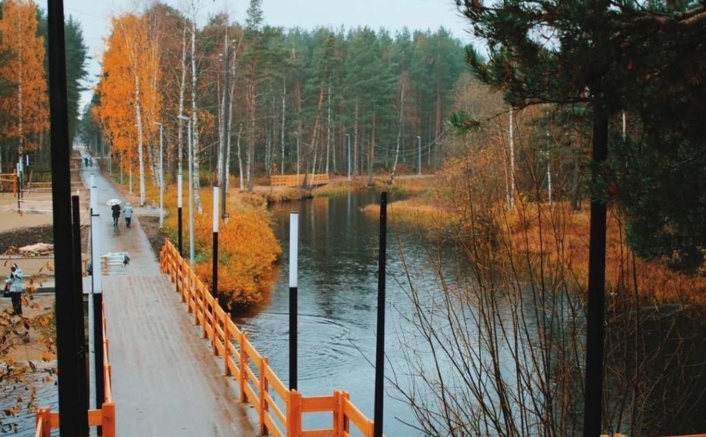 дом р-н Медвежьегорский г Медвежьегорск Медвежьегорское городское поселение фото 29