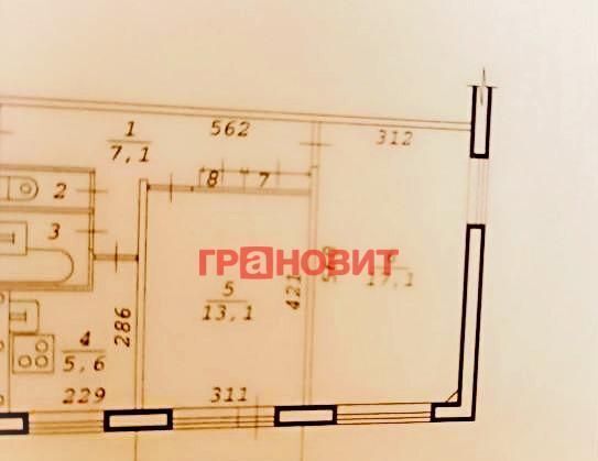 квартира г Новосибирск р-н Заельцовский Заельцовская ул Дачная 36 фото 7