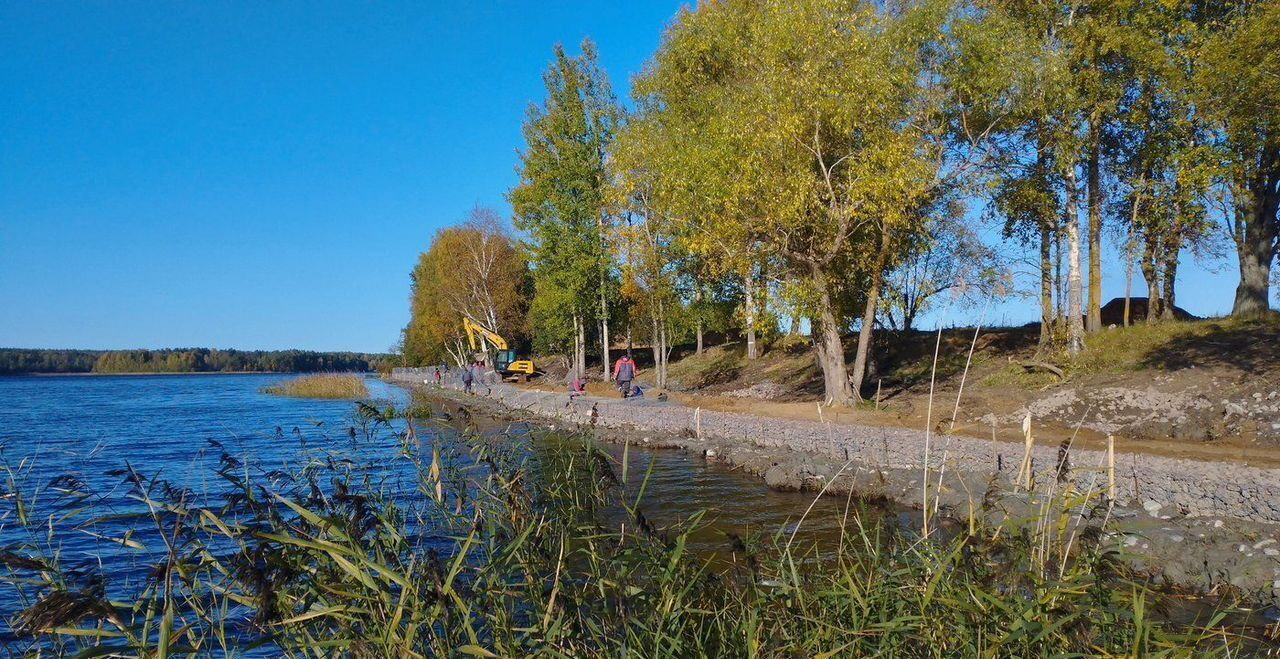 земля р-н Приозерский п Ромашки Трасса Сортавала, 72 км, Ромашкинское сельское поселение, Саперное фото 7