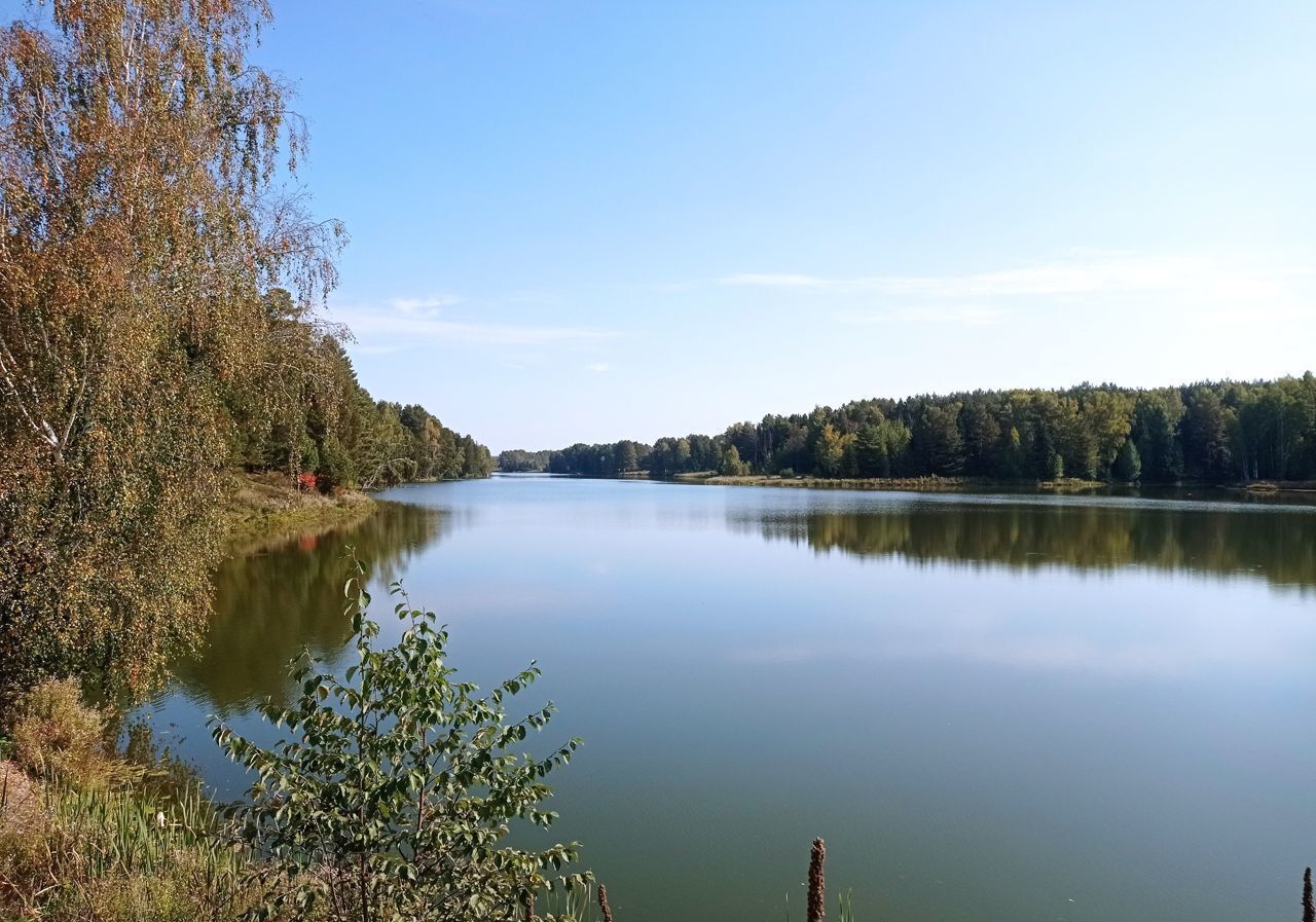 дом р-н Завьяловский д Старые Кены ул Ивановская 22 Ижевск фото 39