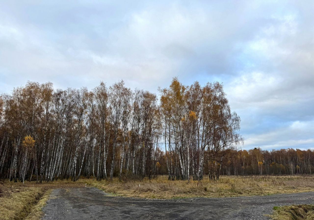 земля городской округ Домодедово 27 км, д. Степанчиково, Новокаширское шоссе фото 5