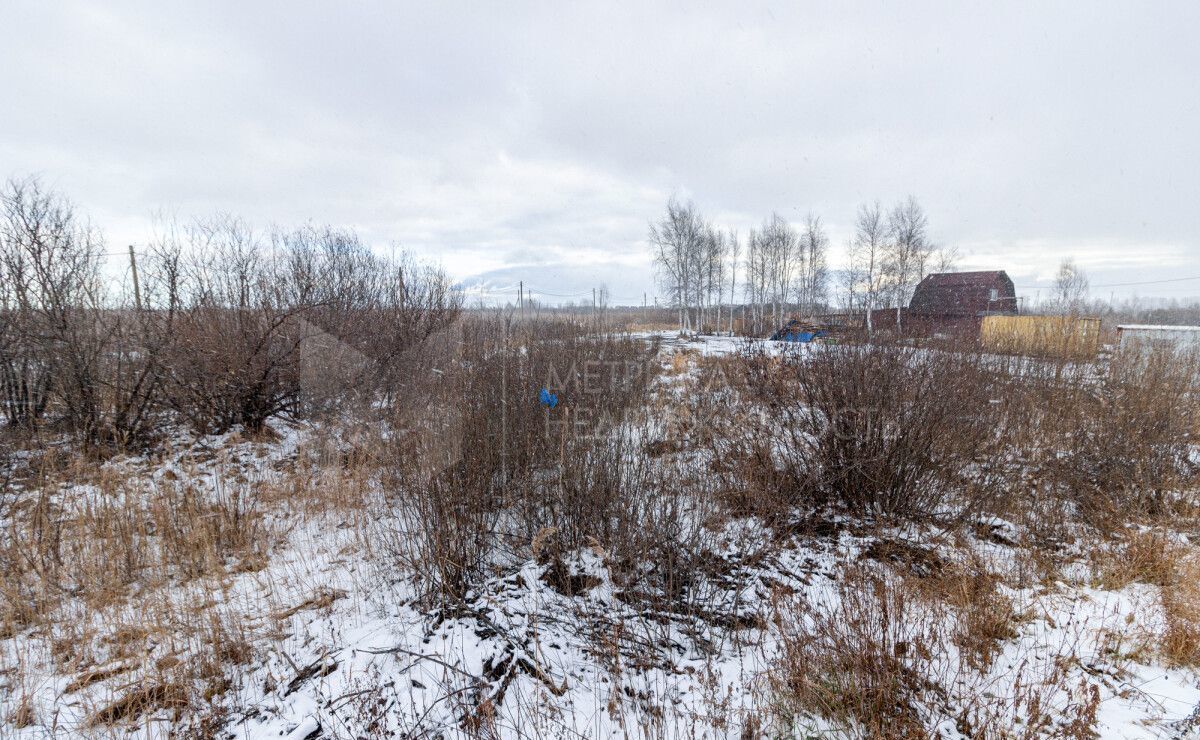 земля г Тюмень р-н Ленинский снт Яровское Грушевая ул., 30 фото 15