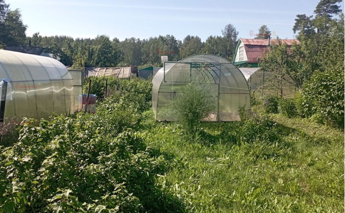 земля г Екатеринбург р-н Верх-Исетский коллективный сад Машиностроитель-4 фото 3