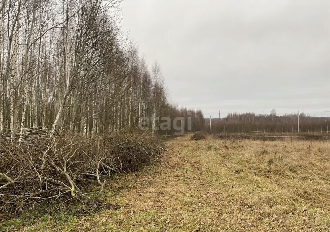 земля р-н Смоленский д Лубня ул Рябиновая 21 Смоленск фото 24