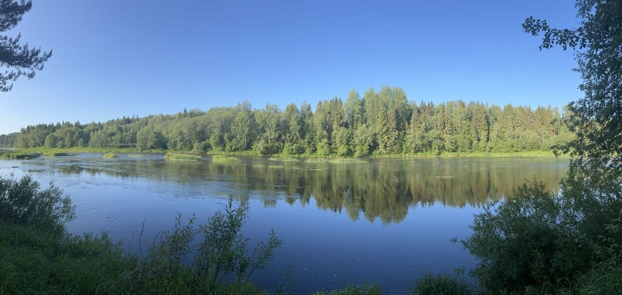 земля р-н Ржевский д Суходол Ржев фото 1