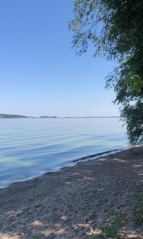 р-н Чердаклинский рп Чердаклы Чердаклинское городское поселение, 16-й квартал Чердаклинского лесничества Ульяновского межлесхоза фото