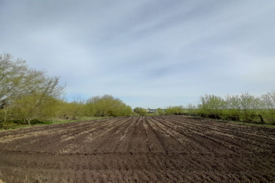 дом р-н Ордынский село Кирза фото 5