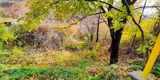 с Нижняя Кутузовка ул Алуштинское шоссе фото