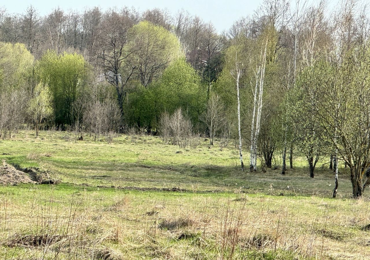 земля городской округ Павловский Посад с Рахманово ул Механизаторов 48 км, Павловский Посад, Носовихинское шоссе фото 2