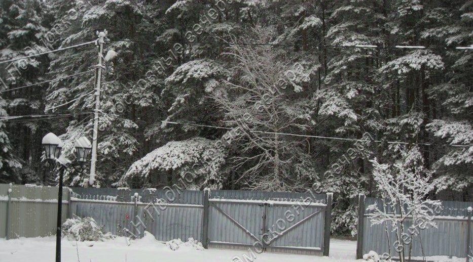 земля городской округ Одинцовский Роща СНТ фото 4