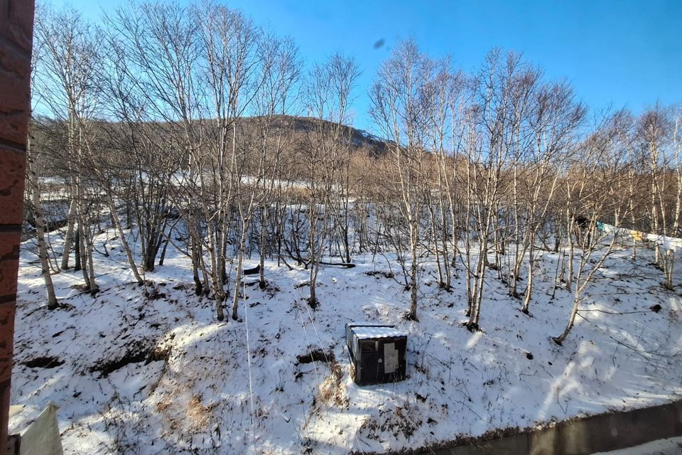 квартира г Петропавловск-Камчатский ул Автомобилистов 20 Петропавловск-Камчатский городской округ фото 8