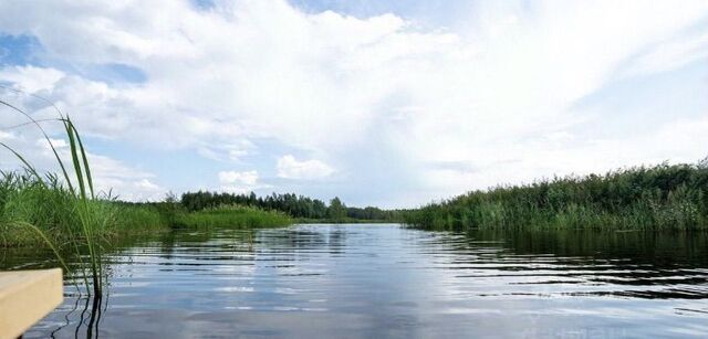 земля снт Альбатрос Редкино фото