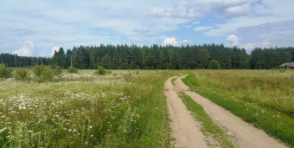 земля р-н Киржачский д Трутнево ул Звездная Ярославское шоссе, 15 км, Киржач фото 5