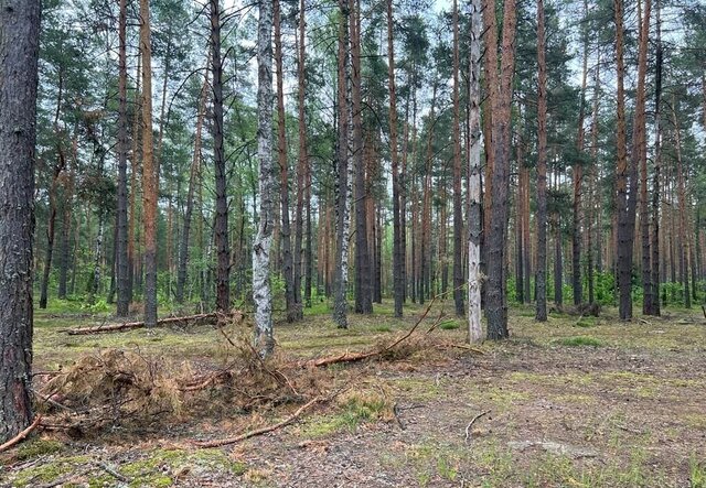 р-н Петушинский д Борок Горьковское шоссе, 11 км, муниципальное образование Петушинское, Петушки фото