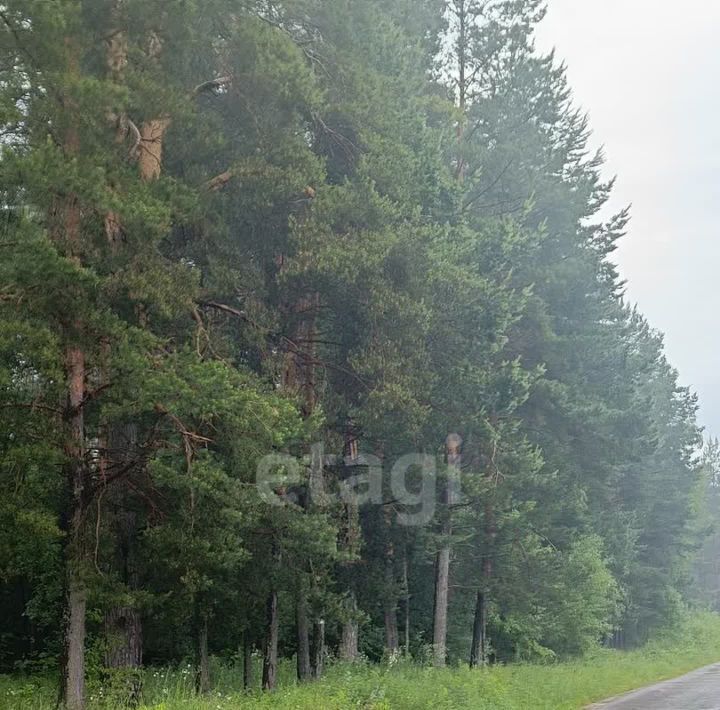 земля г Калуга д Крутицы пер Радонежский Полесье-2 кп фото 4