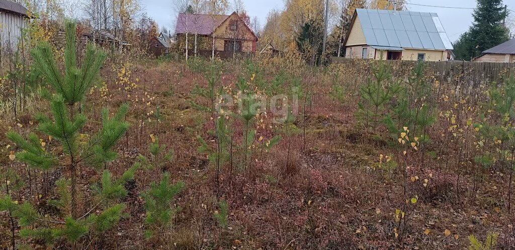 земля р-н Корткеросский с Додзь снт Магистраль муниципальное образование Додзь фото 16