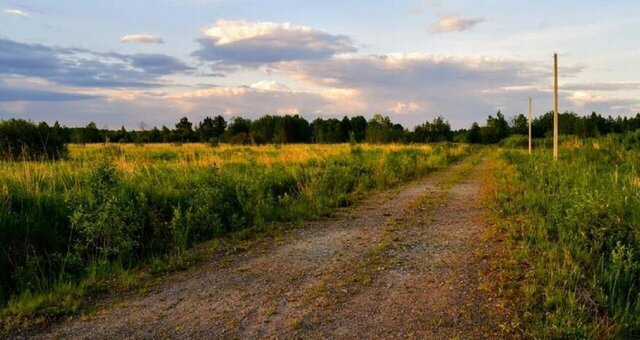 Мурманское шоссе, 59 км, Назиевское городское поселение, дп. Зелёный лес, 112 фото